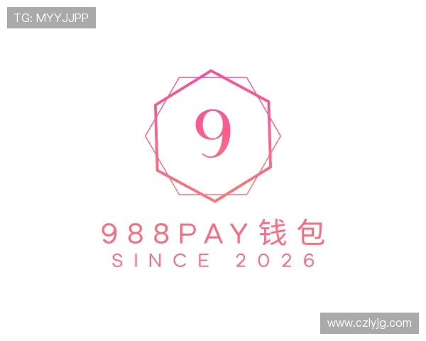 了解988PAY钱包